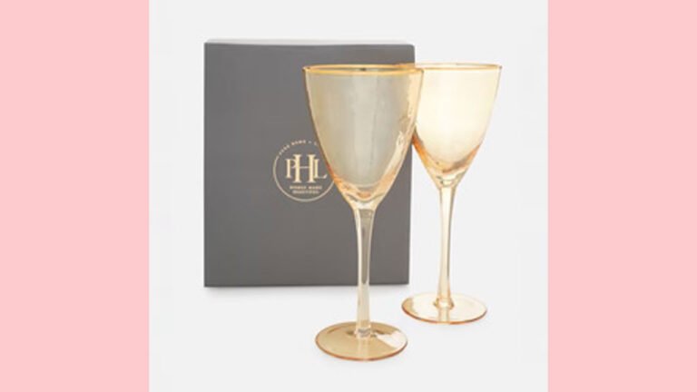 A Guide to Selecting the Perfect Wine Glasses for Your Home