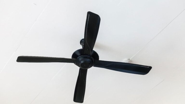 How to Choose the Right Designer Ceiling Fan for Your Modern Home